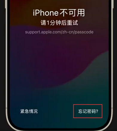 乌尔禾苹果手机密码维修分享iPhone忘记了刚设置的密码 